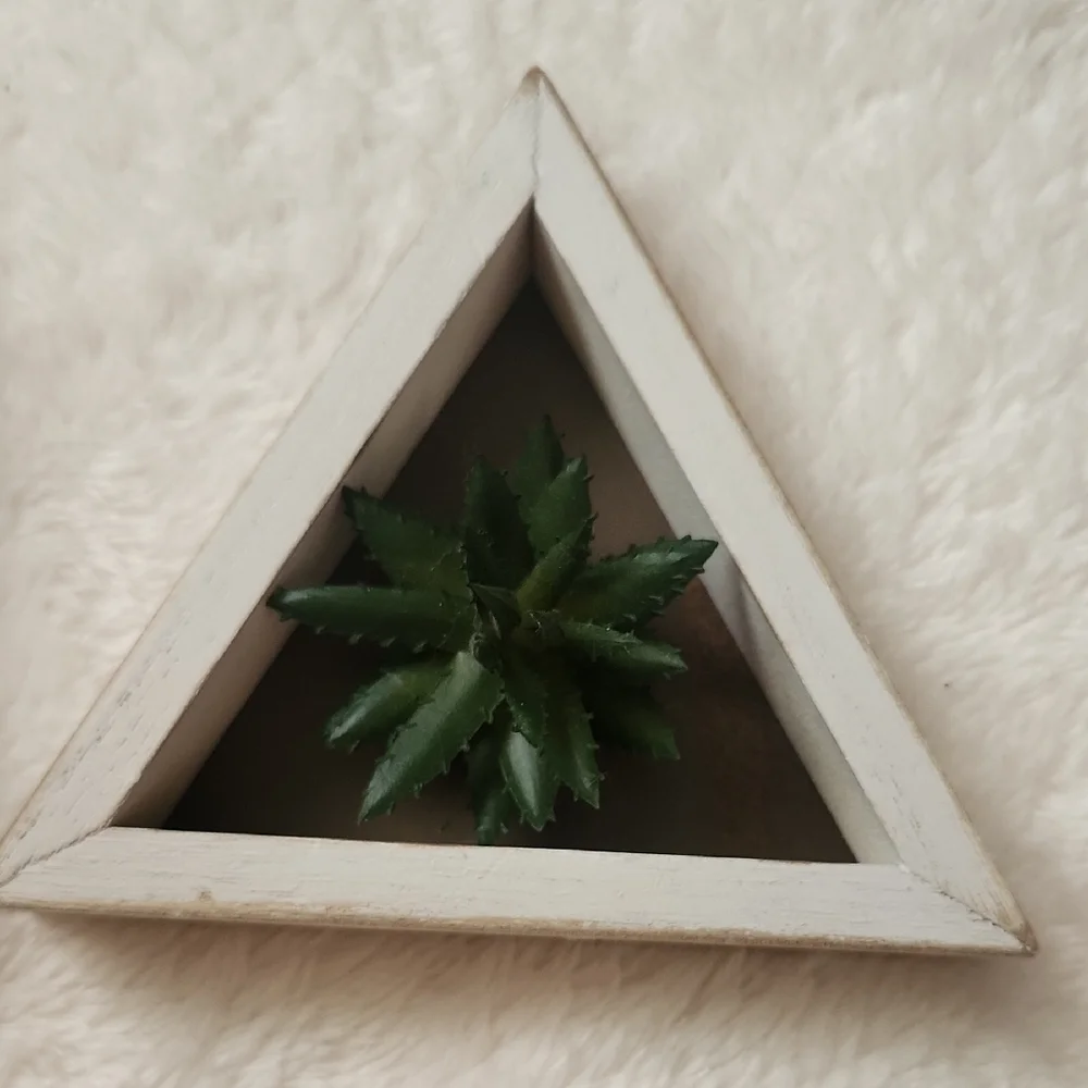 White Framed Rustic Succulent Wall Decor Set
